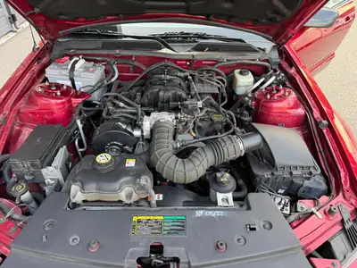 Ford Mustang V6 Coupé 2005 — Icône américaine rouge, motorisation V6 performante — Miniature 15