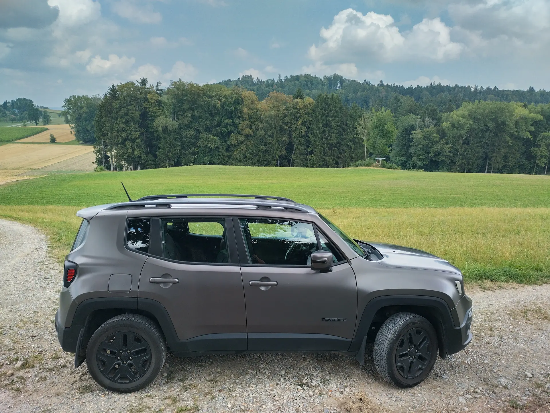 Jeep Renegade 2016 occasion Besenbüren — 3