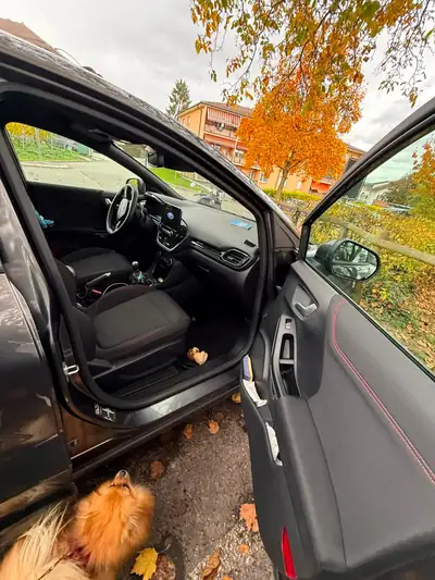 Ford Puma 1.0 EcoBoost Hybrid 125 ST-Line — SUV compact écologique et dynamique — détail