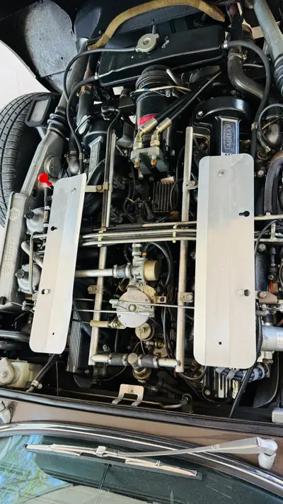 Jaguar E-Type Series 3 V12 Roadster — Chef-d'œuvre britannique, seulement 9'754 km — Miniature 17