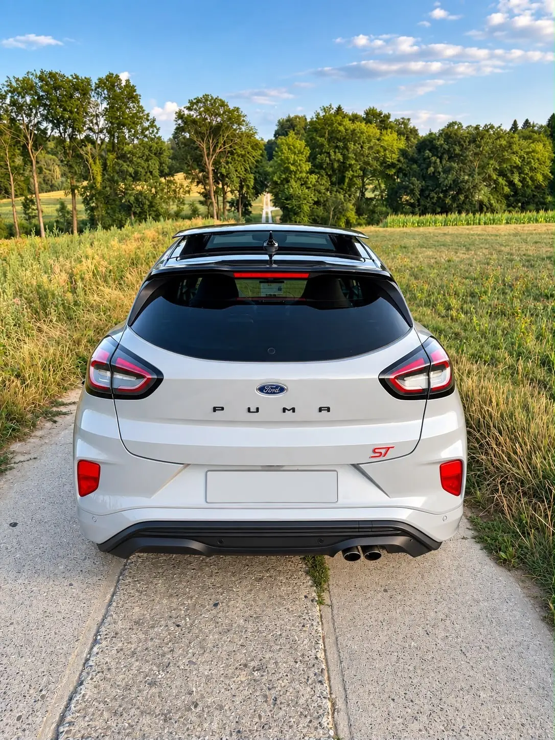 Ford Puma 2023 occasion Dompierre — 4