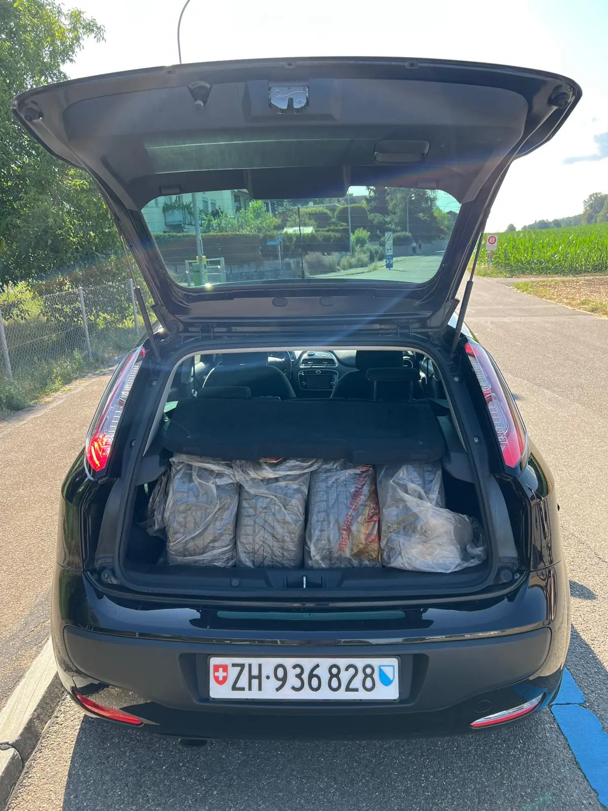 Fiat Punto 2010 occasion Schlieren — 3