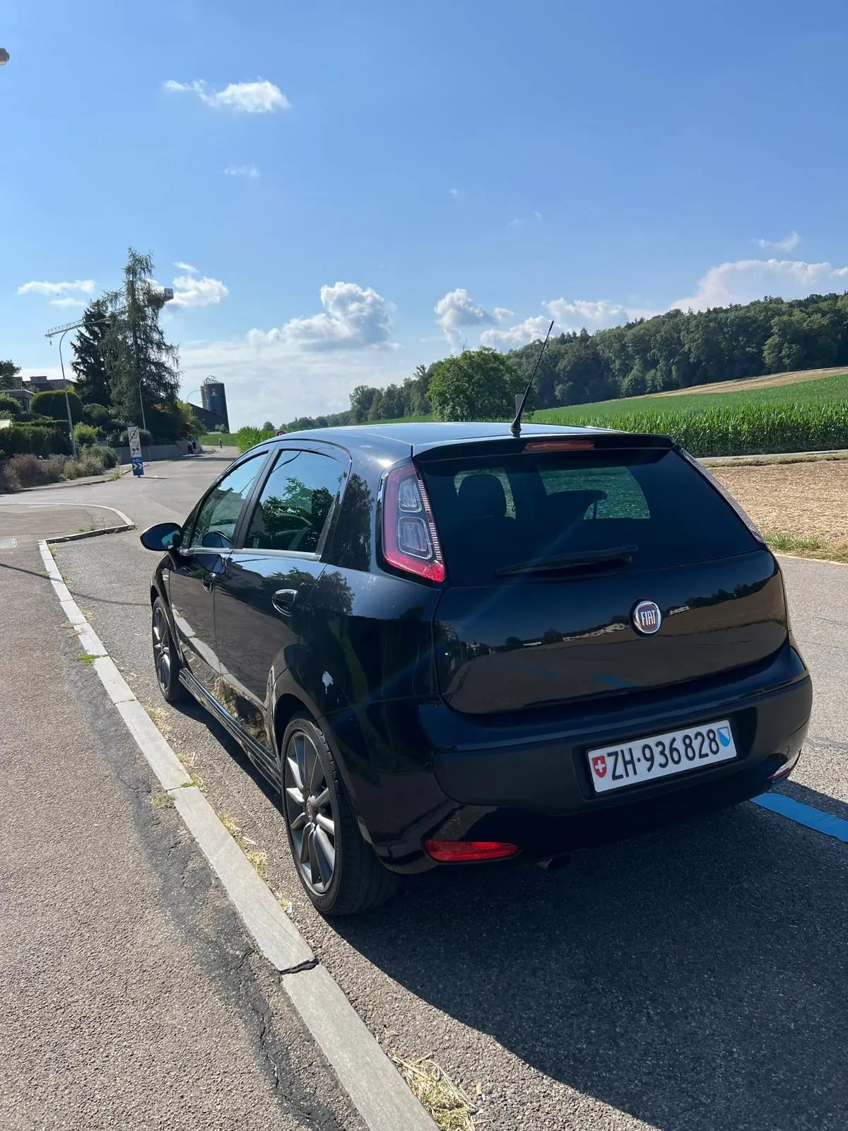 Fiat Punto 2010 occasion Schlieren — 2