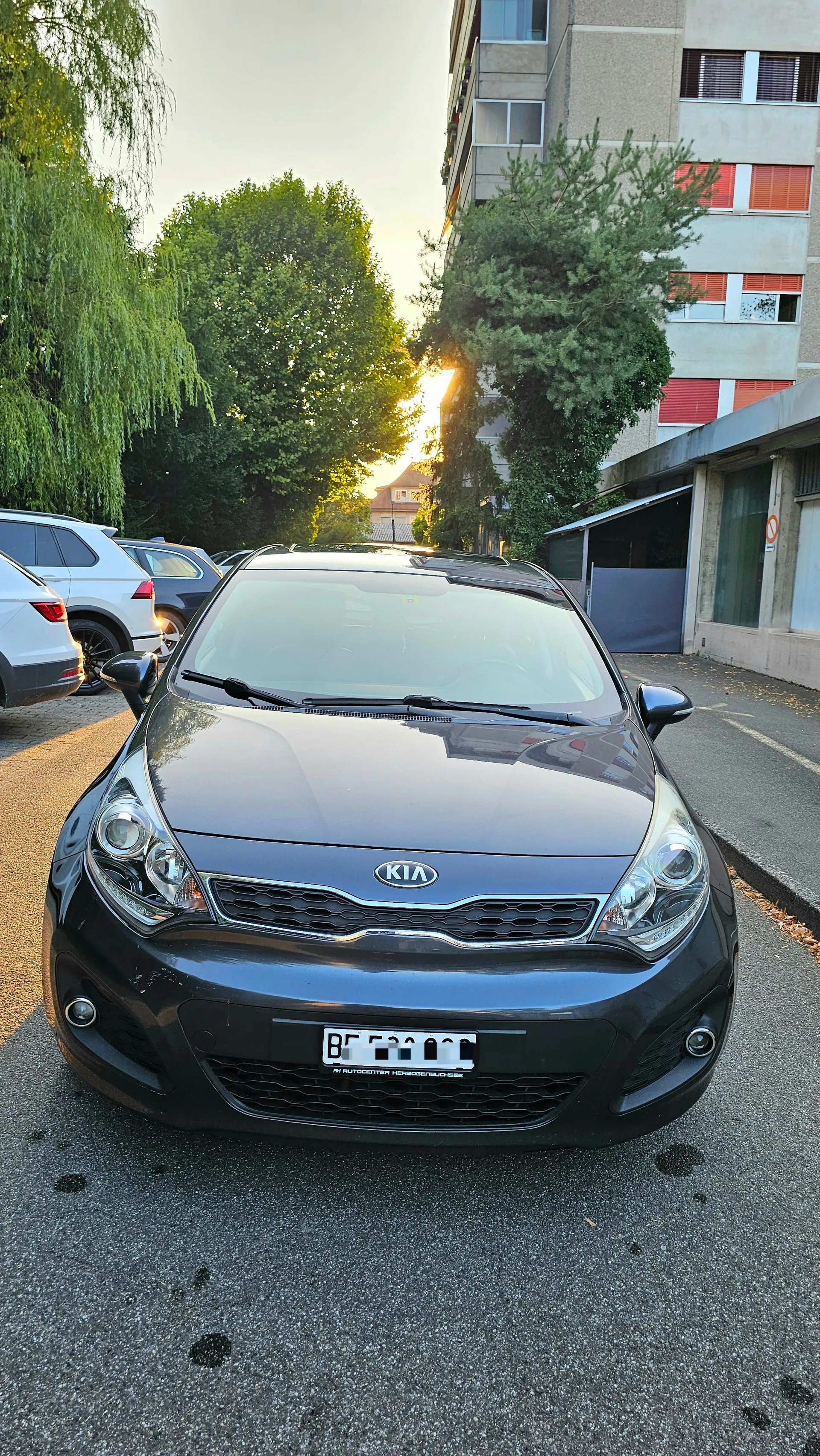 Kia Rio 2014 occasion Herzogenbuchsee — 2