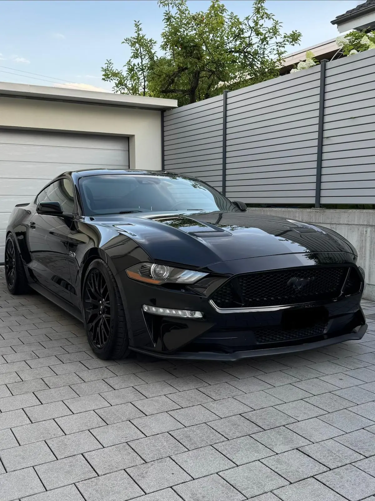 Ford Mustang 2018 occasion Muri — 1