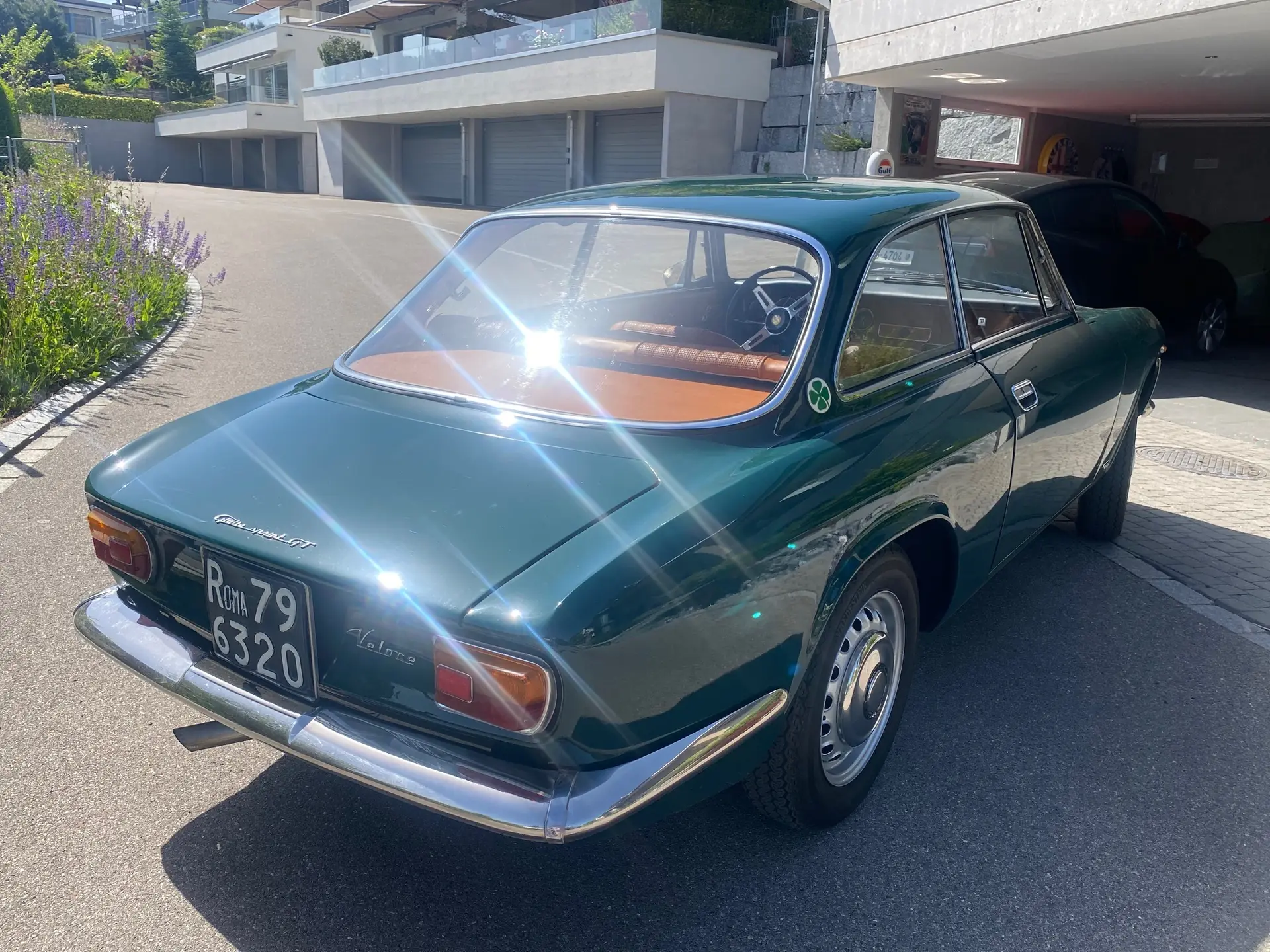 Alfa Romeo Giulia 1967 occasion Wil — 5