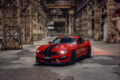 Ford Mustang Shelby GT350 — 533 ch, boîte manuelle, légendaire muscle car — Heckansicht