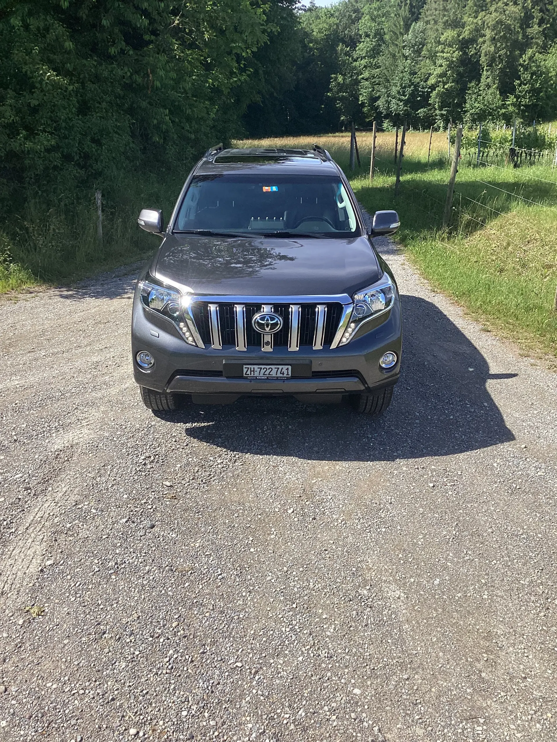 Toyota Land Cruiser 2016 occasion Aesch — 2