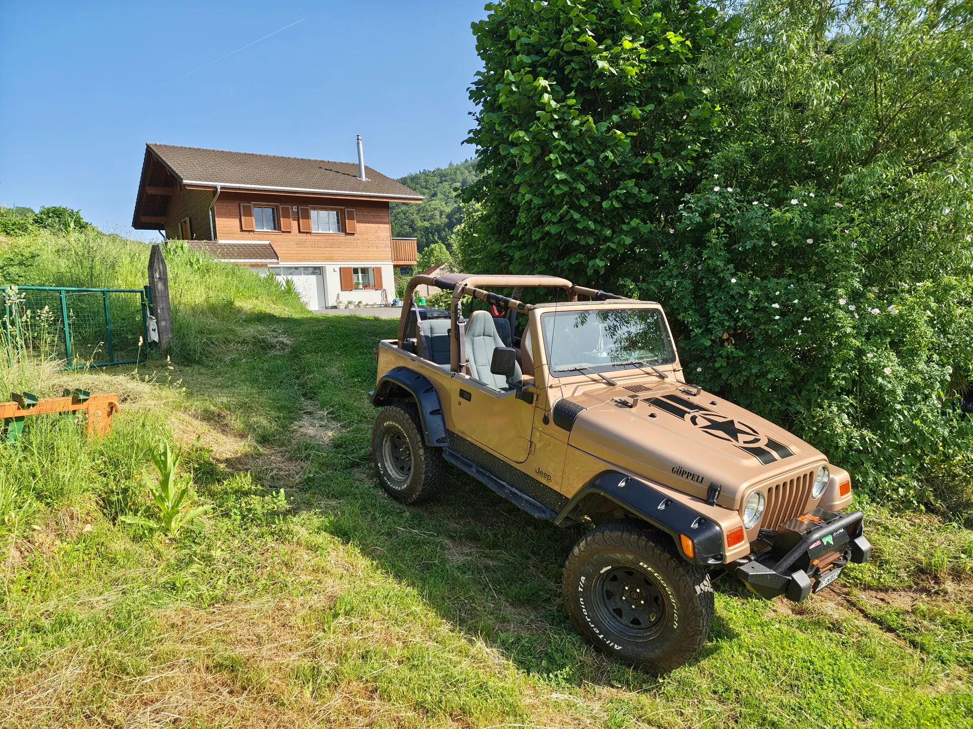 Jeep Wrangler 1999 occasion Sulz — 2