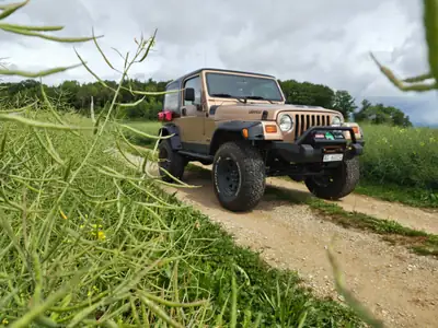 Jeep Wrangler 4.0 TJ Rockcrawler — Le légendaire 4x4 américain, préparé pour l'extrême — Detail