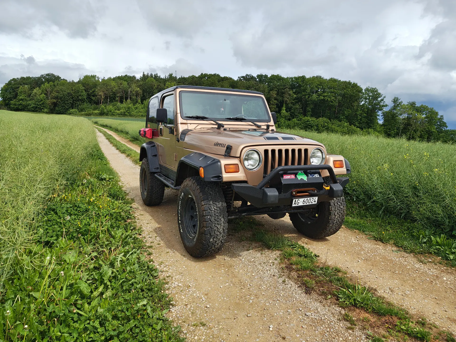 Jeep Wrangler 1999 occasion Sulz — 5
