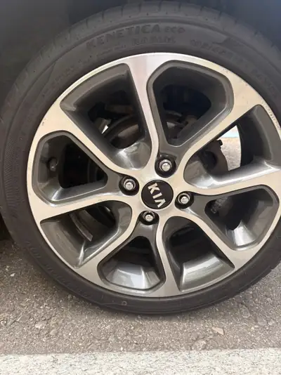 Kia Picanto GT-Line 1.0 T-GDi — Citadine dynamique, équipée et économe — Armaturenbrett
