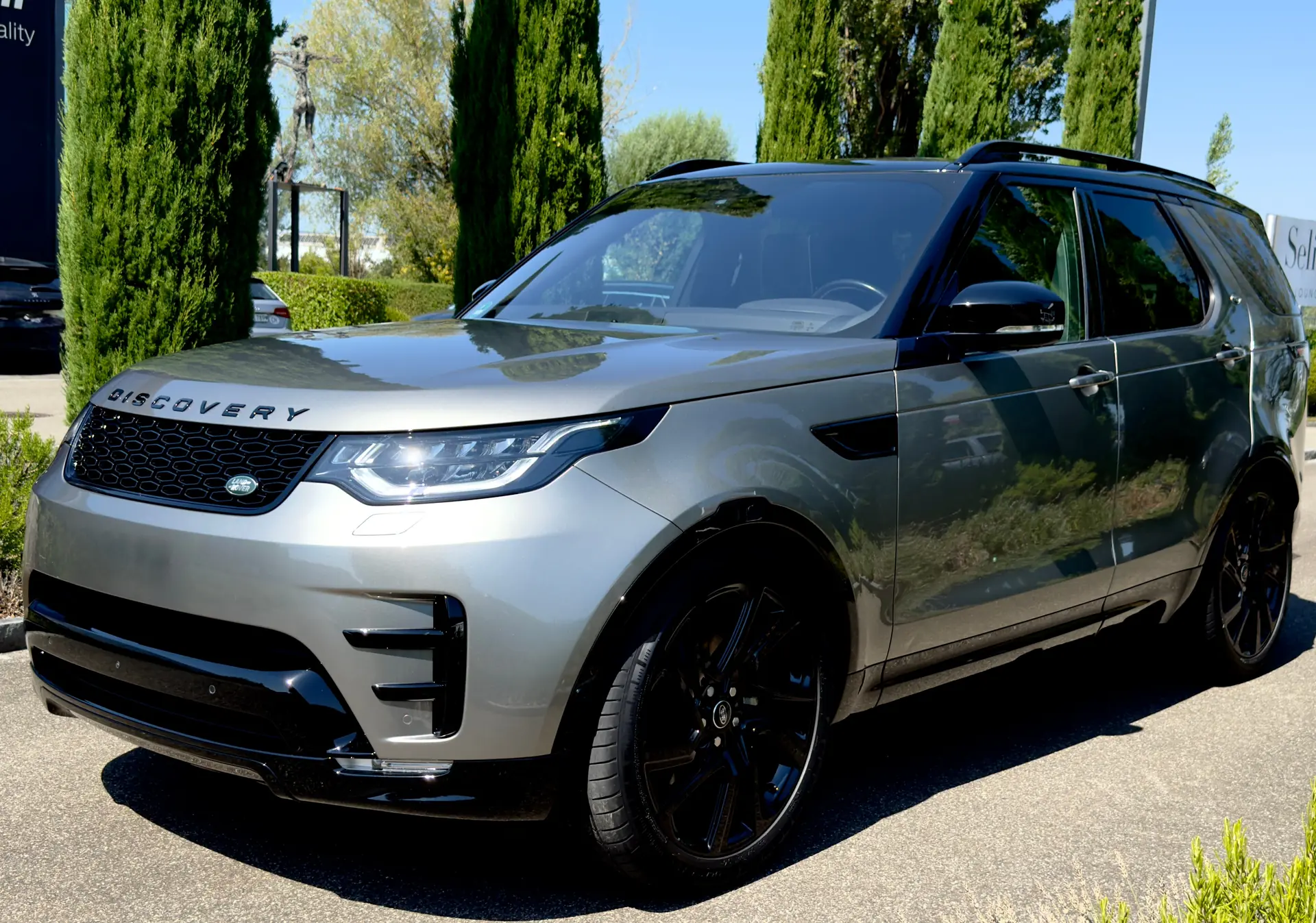 Land Rover Discovery 2018 occasion Rorschacherberg — 2
