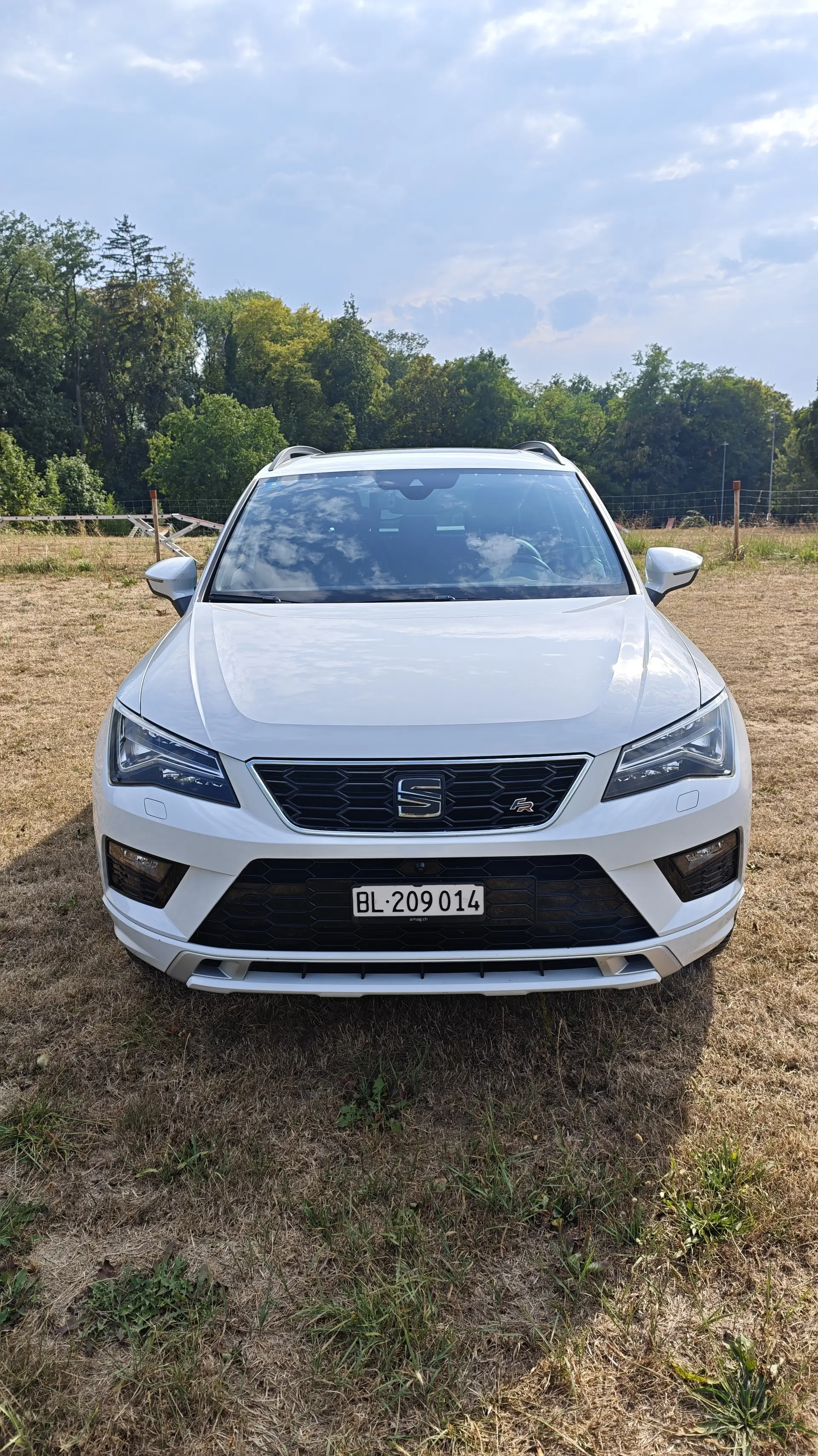 SEAT Ateca 2019 occasion Oberwil — 3
