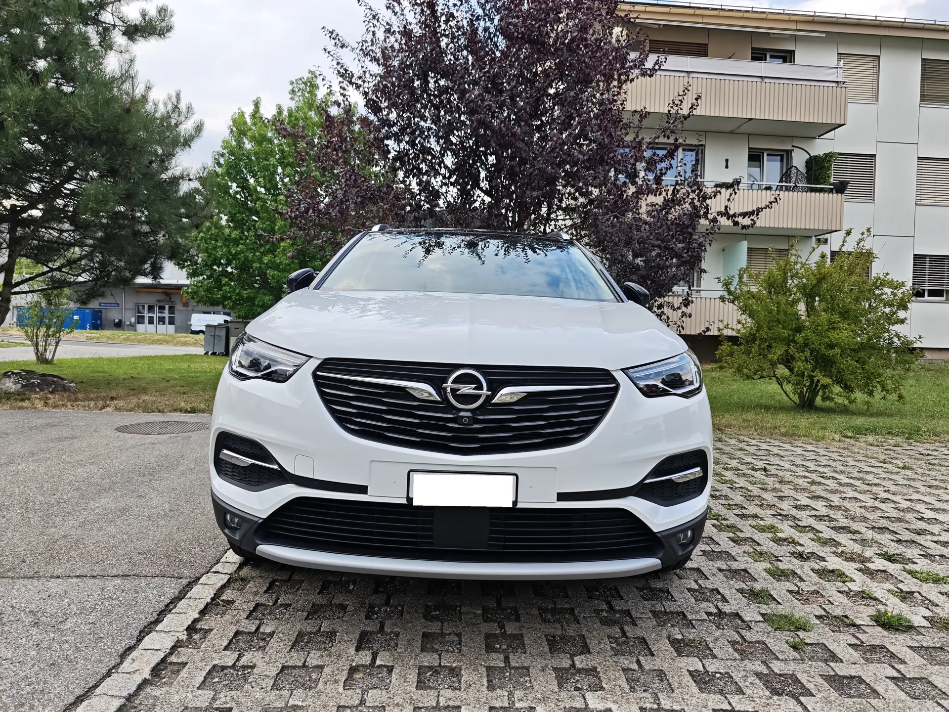 Opel Grandland X 2021 occasion Oberegg — 2
