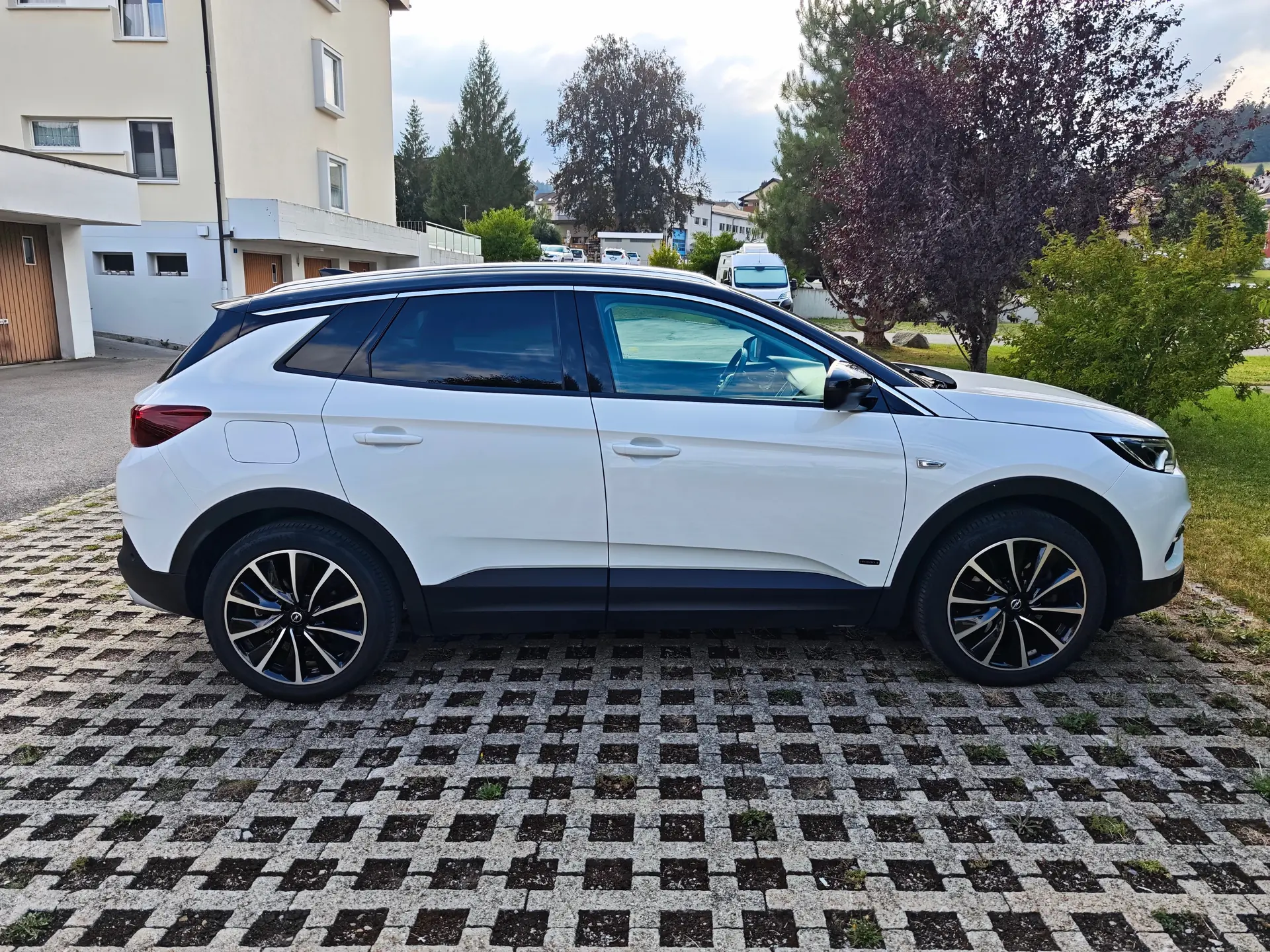 Opel Grandland X 2021 occasion Oberegg — 3