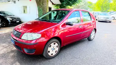 Fiat Punto 1.2 Active — Citadine fiable, entretien économique, sans sinistre — arrière