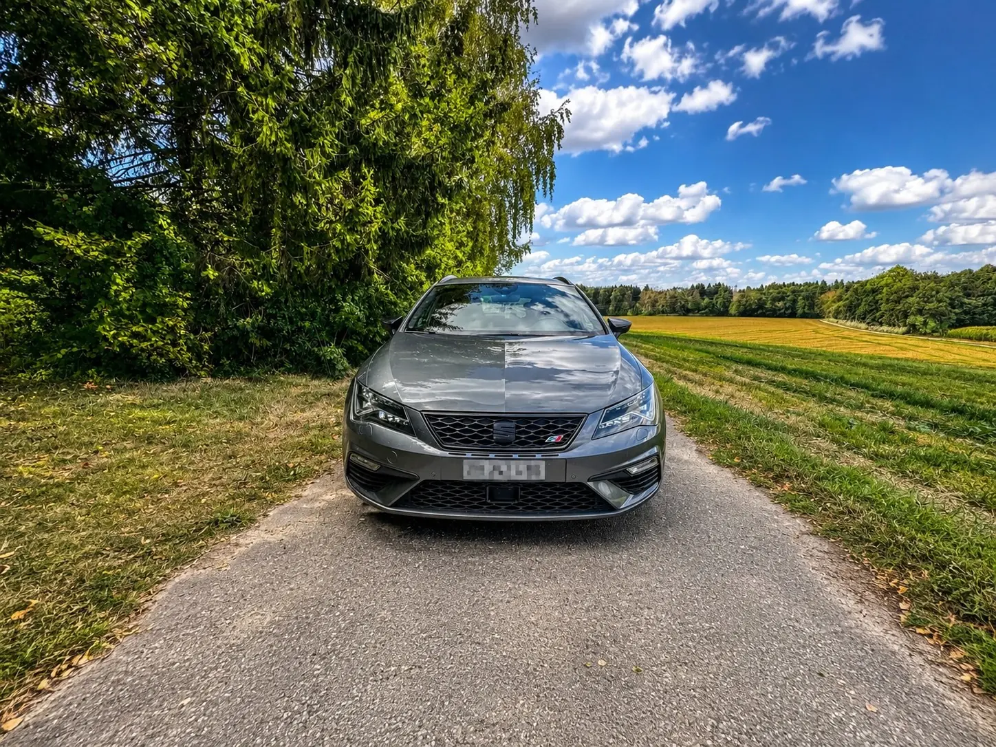 SEAT Leon 2018 occasion Winterthur — 3