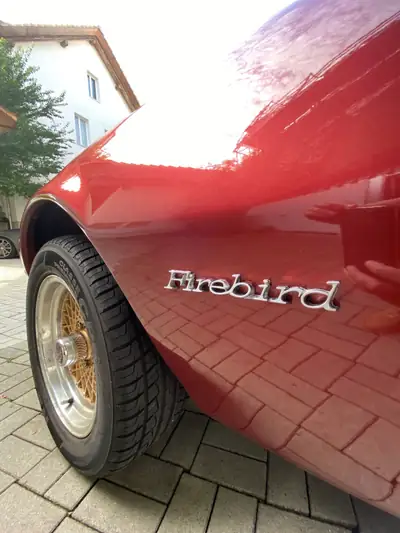 Pontiac Firebird 1977 — Muscle car mythique, 181 ch, teinte bordeaux rare — arrière