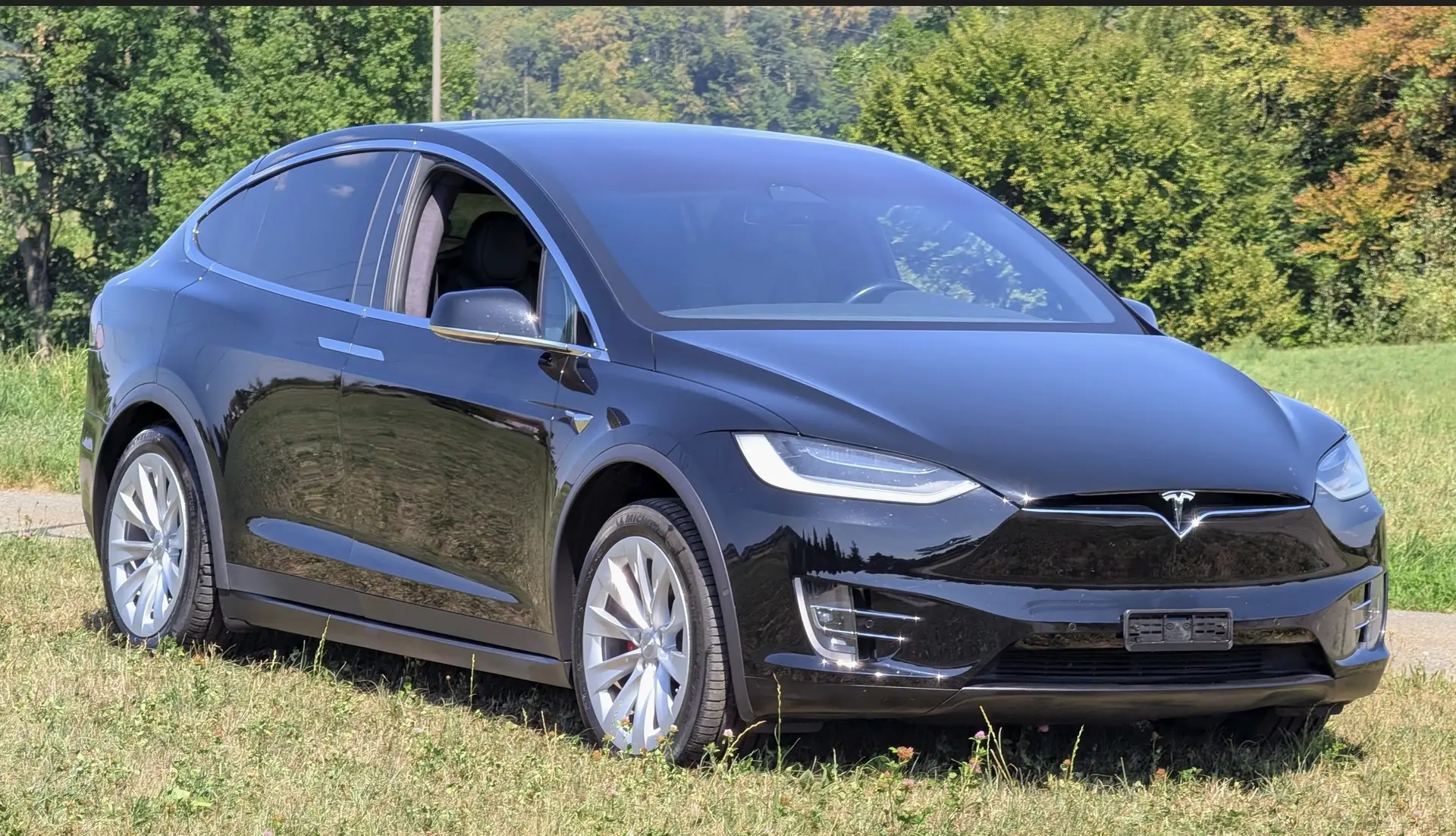 Tesla Model X 2020 occasion Auw — 1