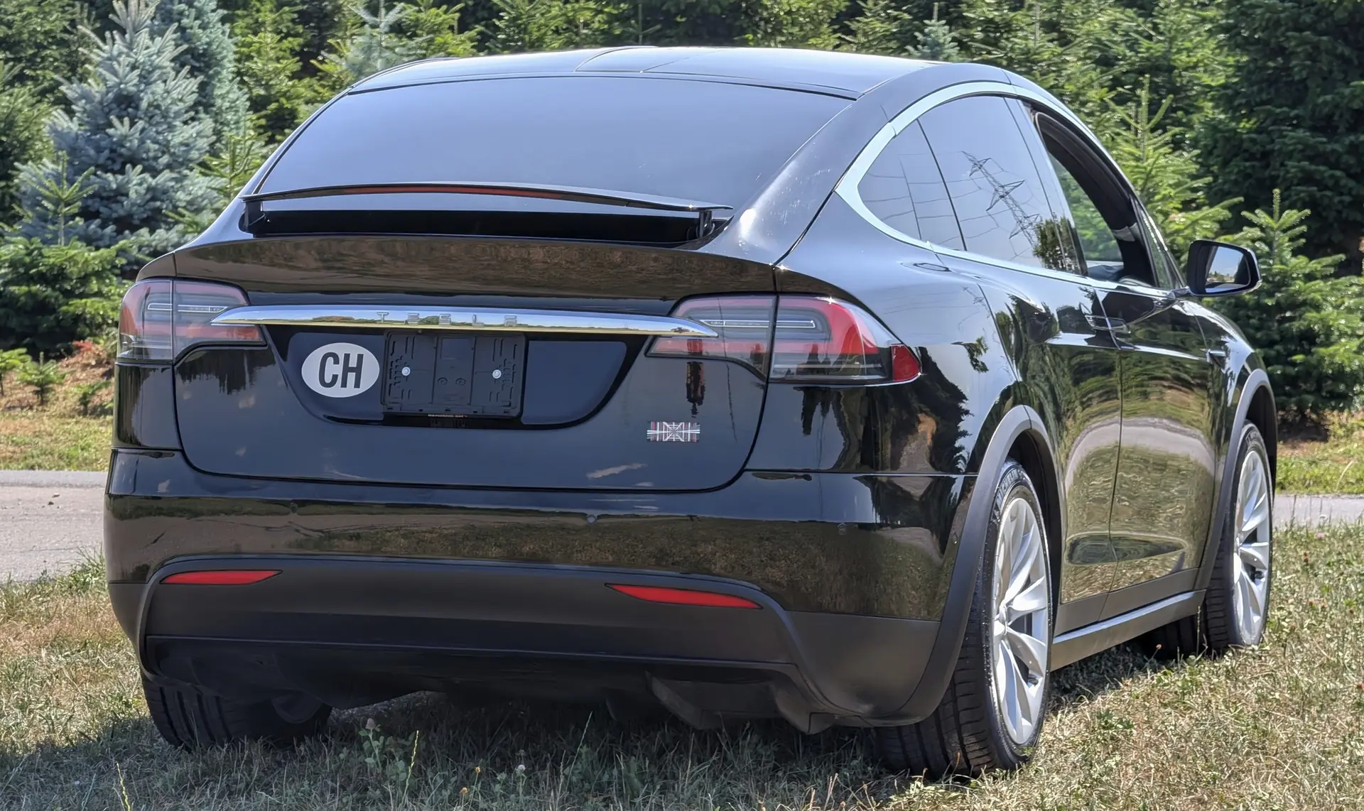 Tesla Model X 2020 occasion Auw — 2