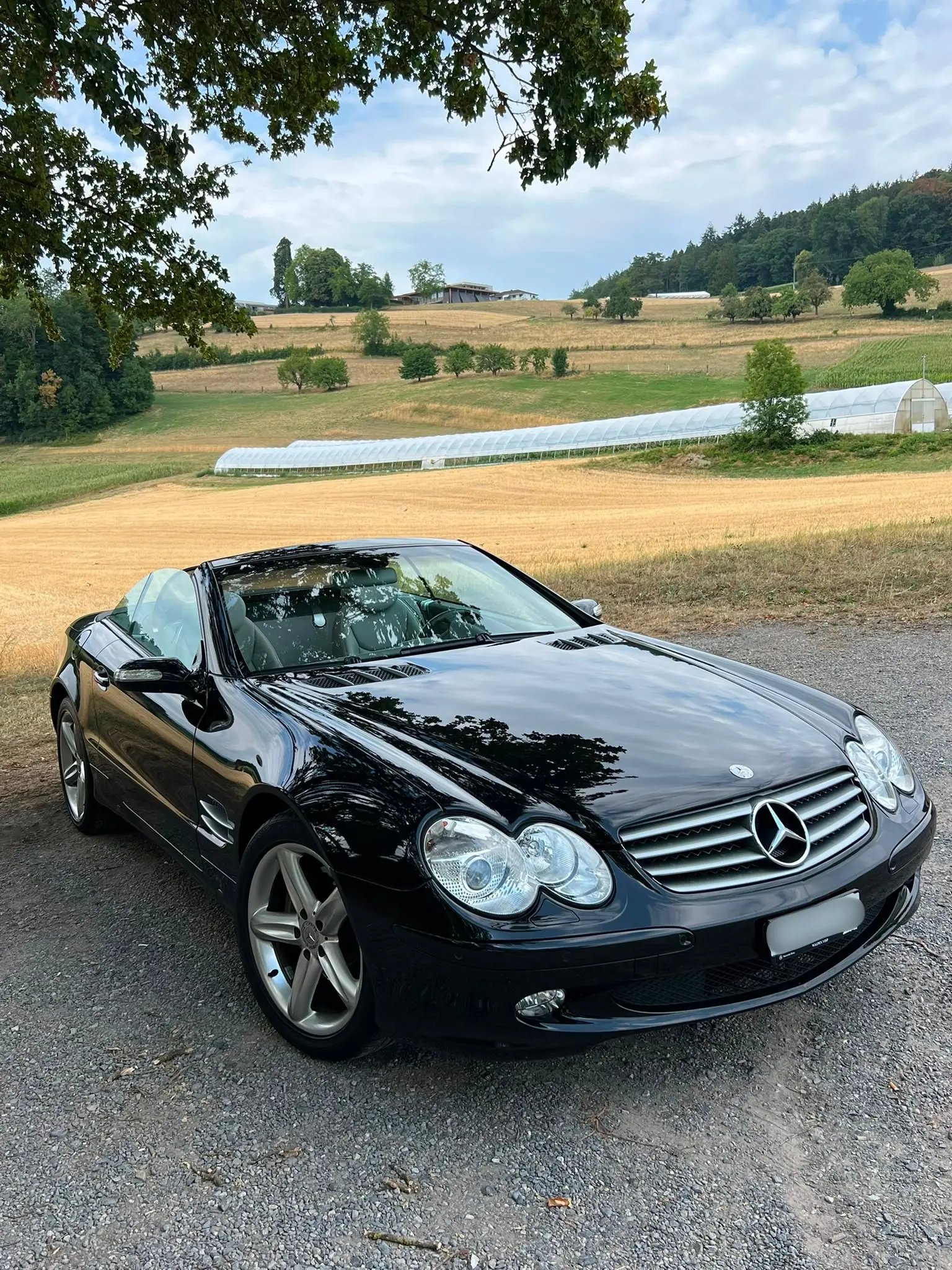 Mercedes-Benz Sl 500 2004 occasion Seengen — 1