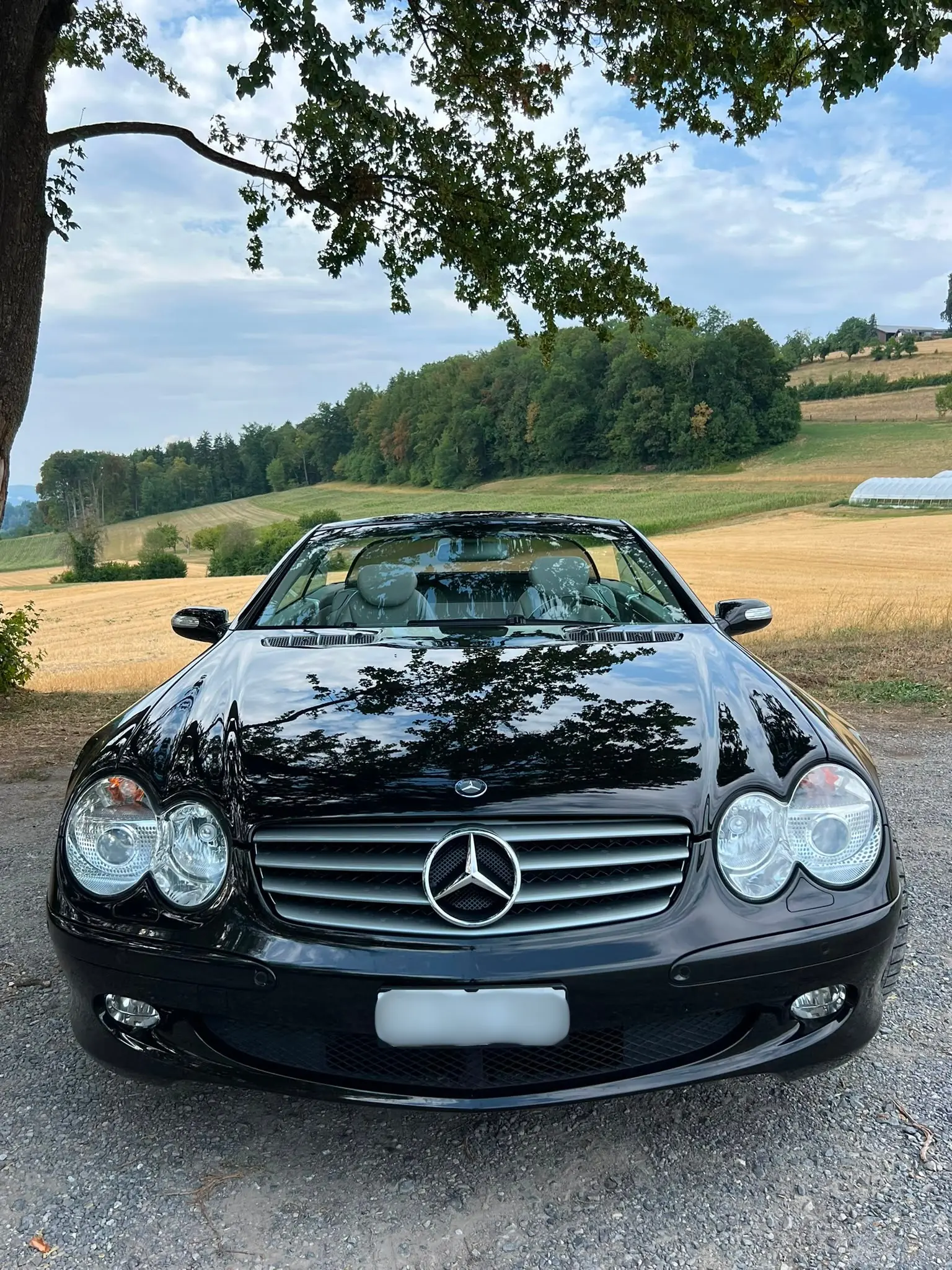Mercedes-Benz Sl 500 2004 occasion Seengen — 3