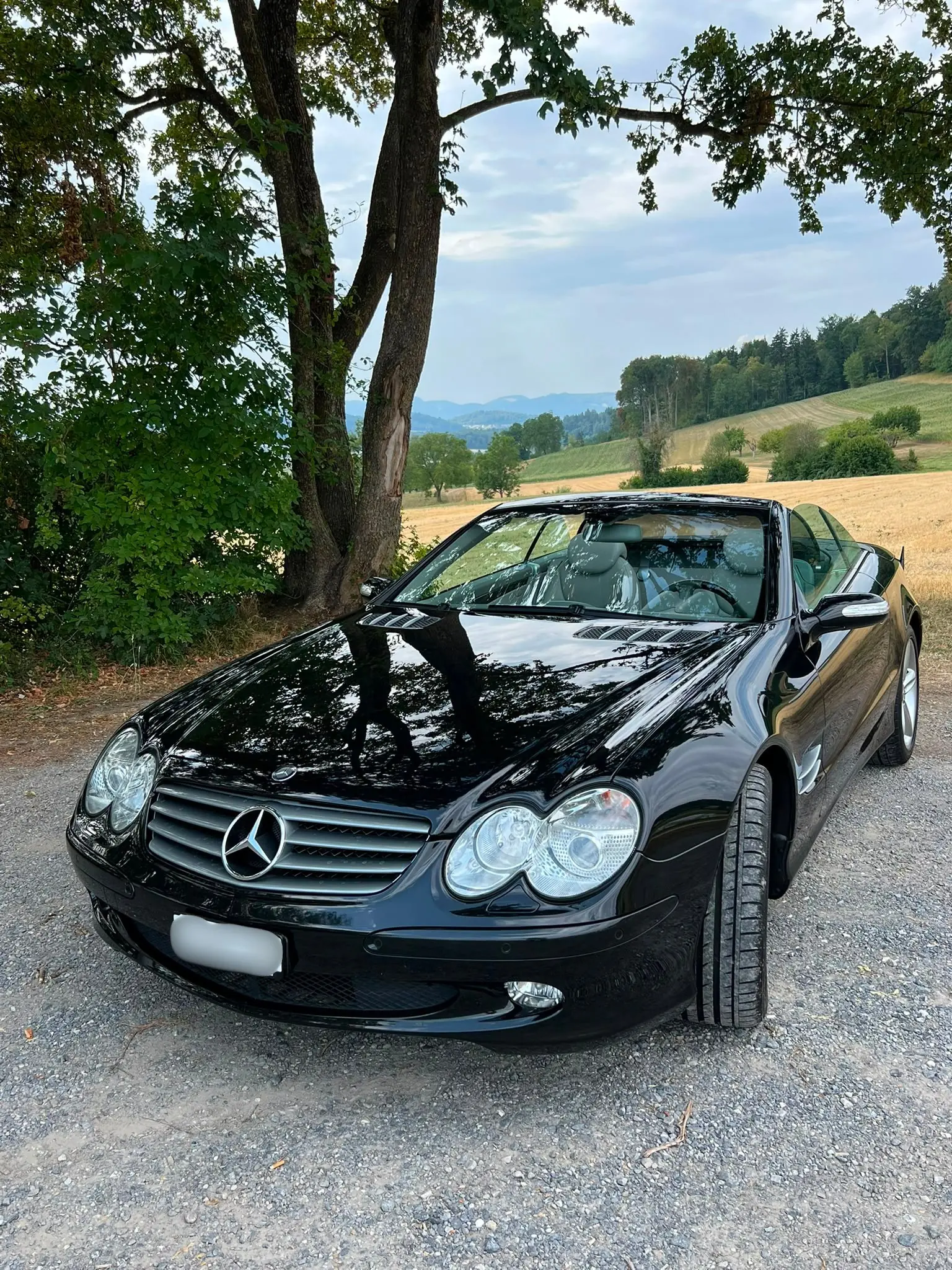 Mercedes-Benz Sl 500 2004 occasion Seengen — 2