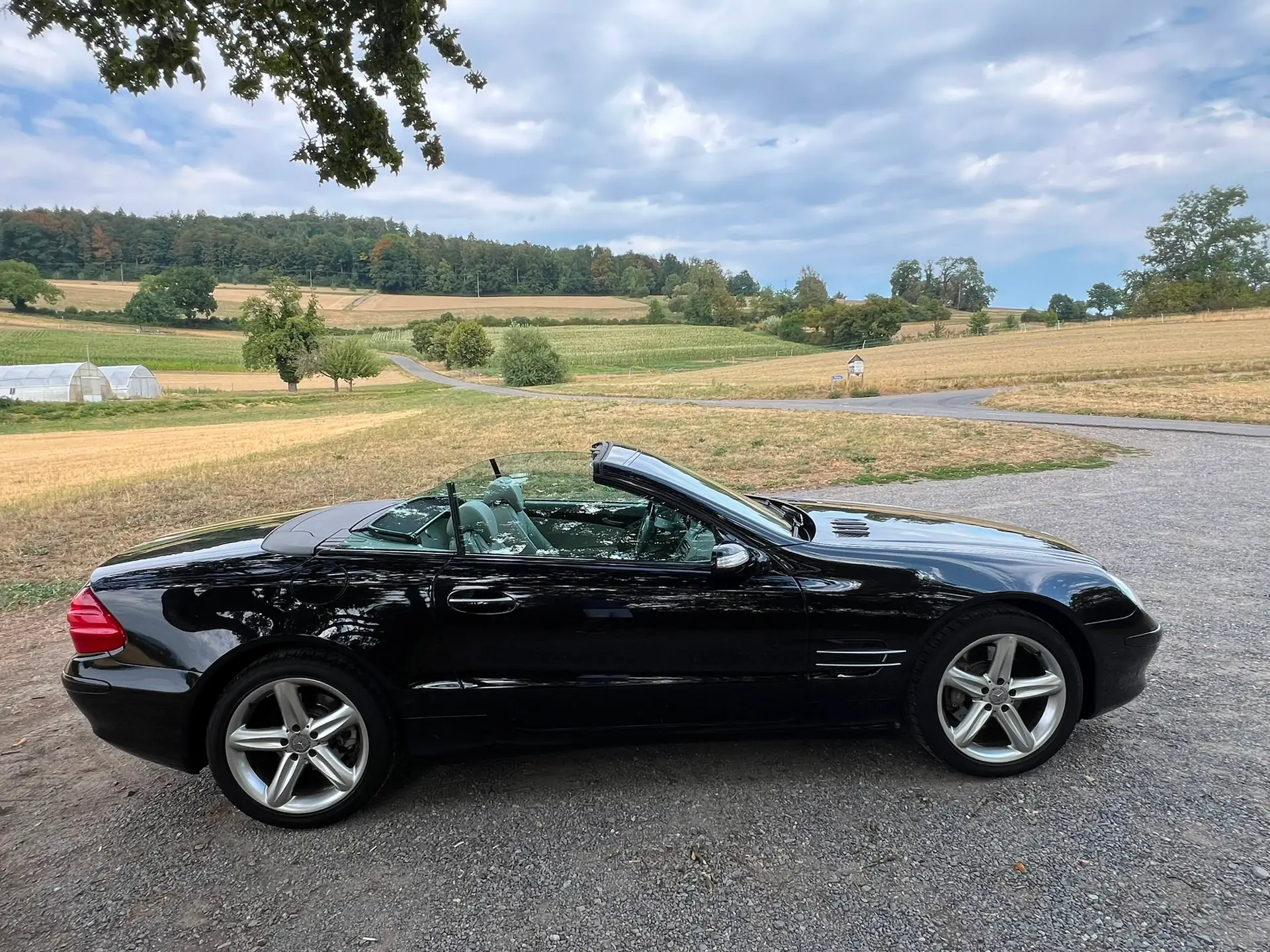 Mercedes-Benz Sl 500 2004 occasion Seengen — 4