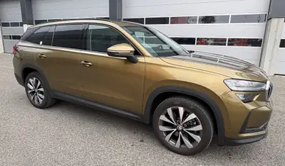 Skoda Kodiaq 2.0 TDI Selection — SUV robuste, tous terrains, équipements premium — interior