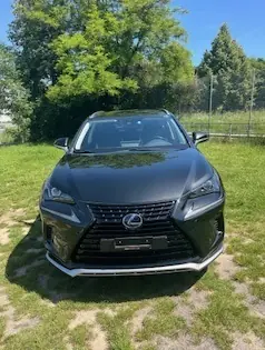 Lexus NX 2020 occasion Genève — 1