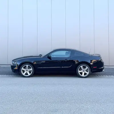 Ford Mustang 5.0 — Muscle car légendaire, boîte manuelle, 420 ch — arrière