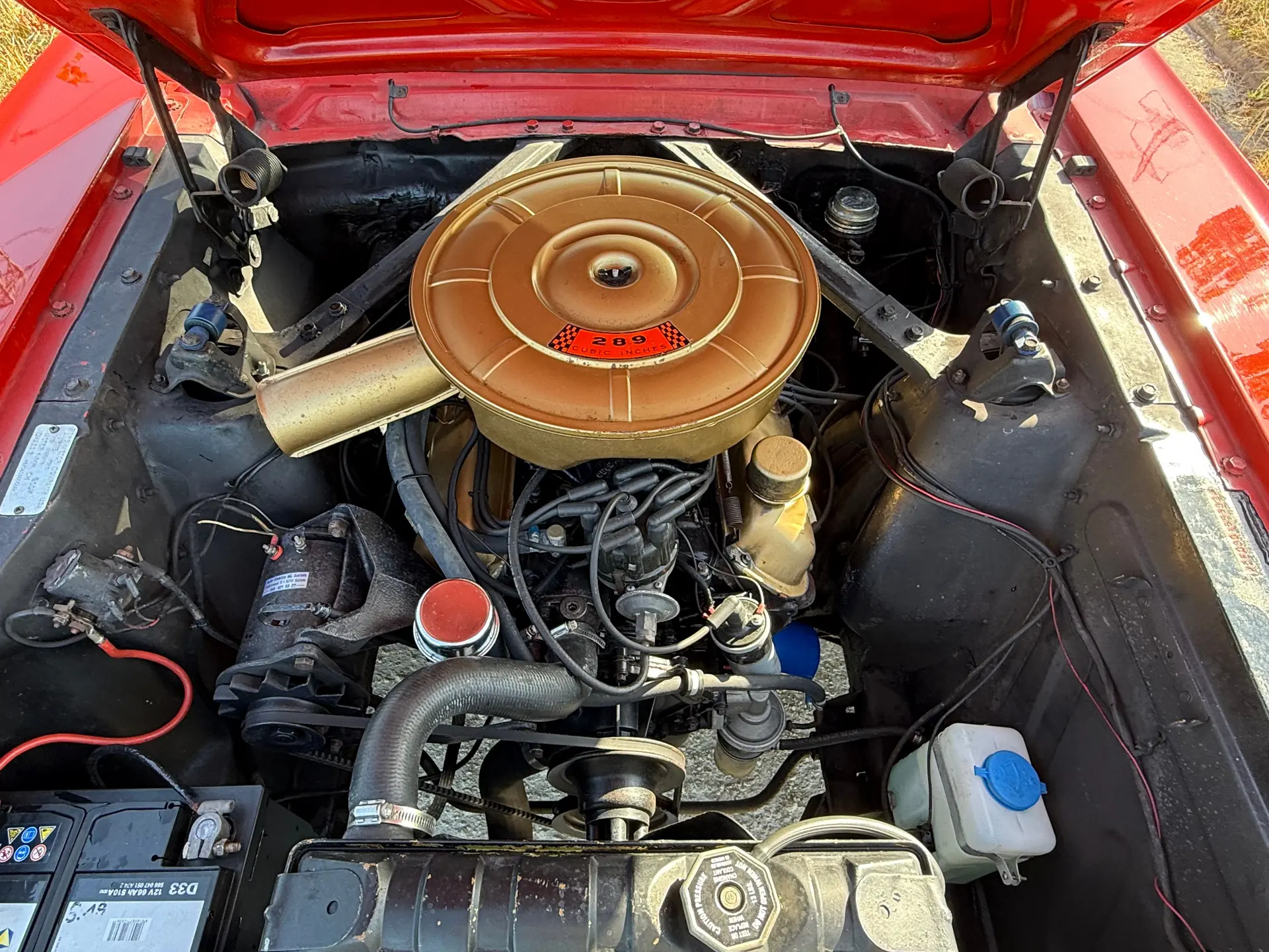 Ford Mustang 1965 occasion Pratteln — 5