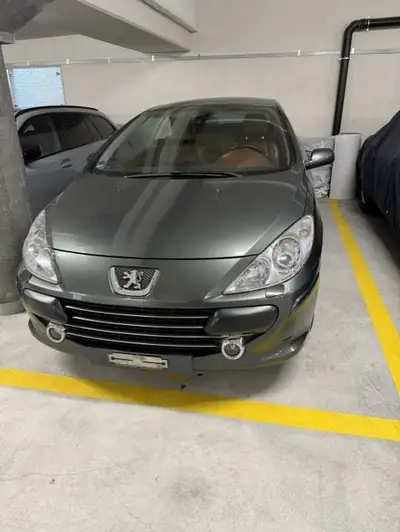 Peugeot 307 Cabriolet 2.0 16V 143 — Décapotable élégante, sans accident — exterior view