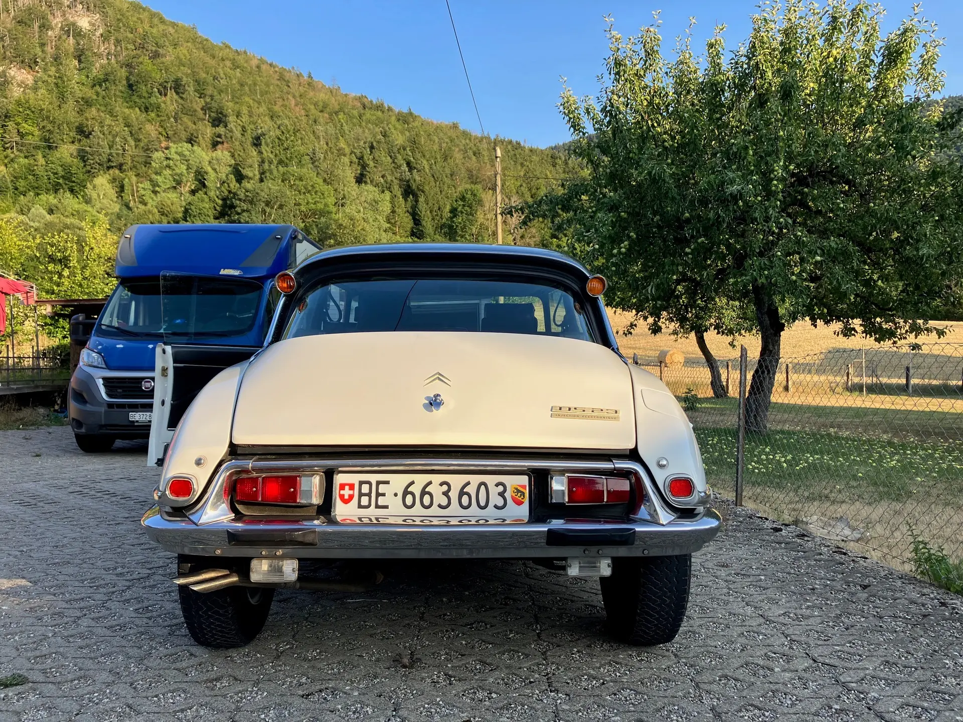 Citroen Ds 21 1972 occasion Bienne — 2