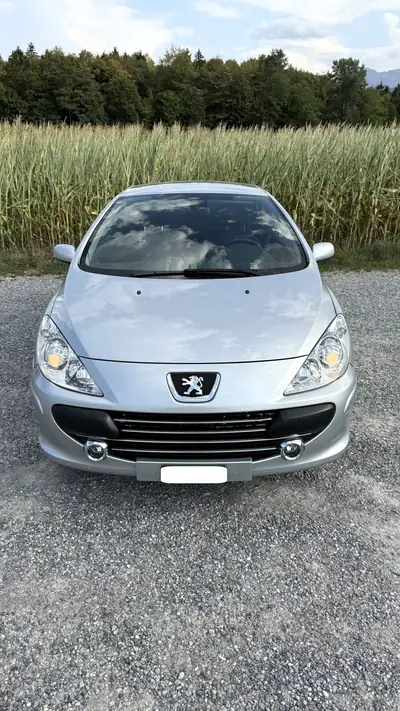 Peugeot 307 Cabriolet 2.0 16V 143 ch — Décapotable élégante, entretien optimal — interni