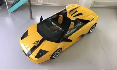 Lamborghini Murciélago Roadster V12 6.2L — Icône des années 2000, 580 ch purs — rear view
