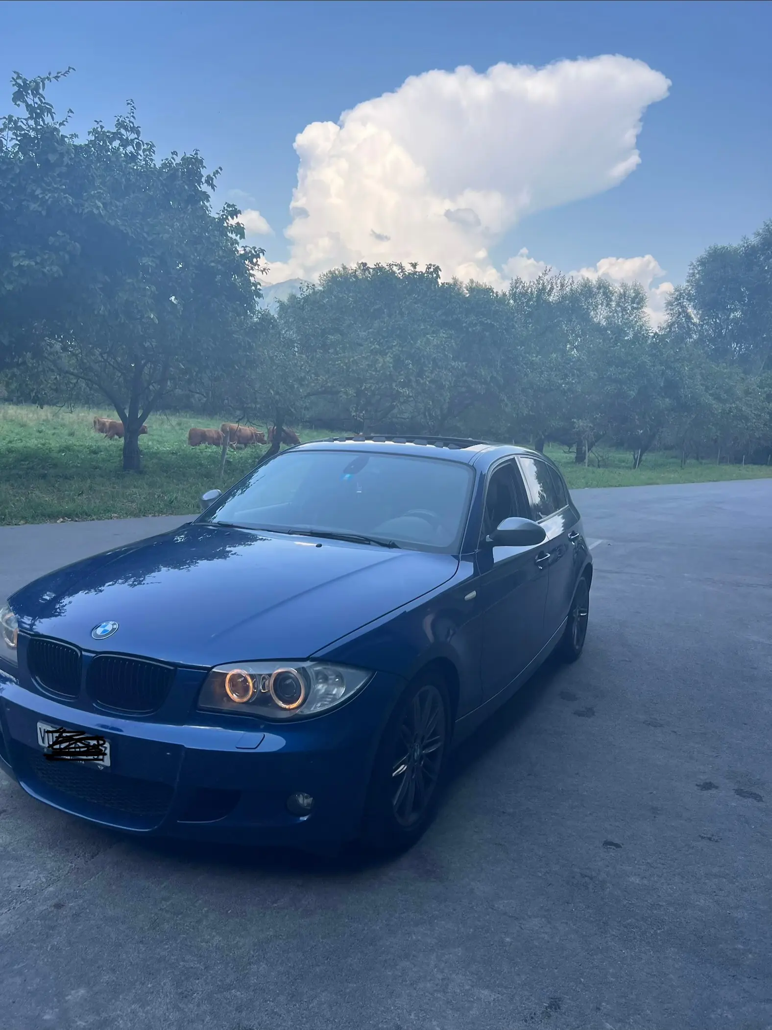 BMW 123d — Berline diesel performante, 190'000 km, sans sinistre