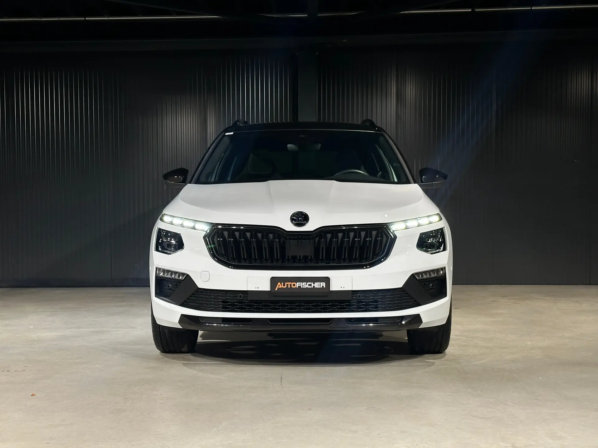 Skoda Kamiq 2025 occasion Ettingen — 3