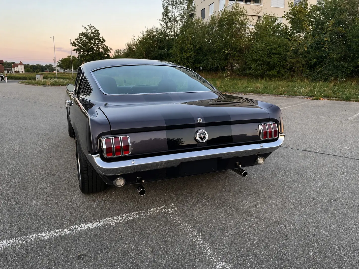 Ford Mustang 1965 occasion Zuchwil — 2