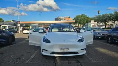 Tesla Model Y Long Range Dual Motor AWD — Performance électrique et autonomie premium — Detail