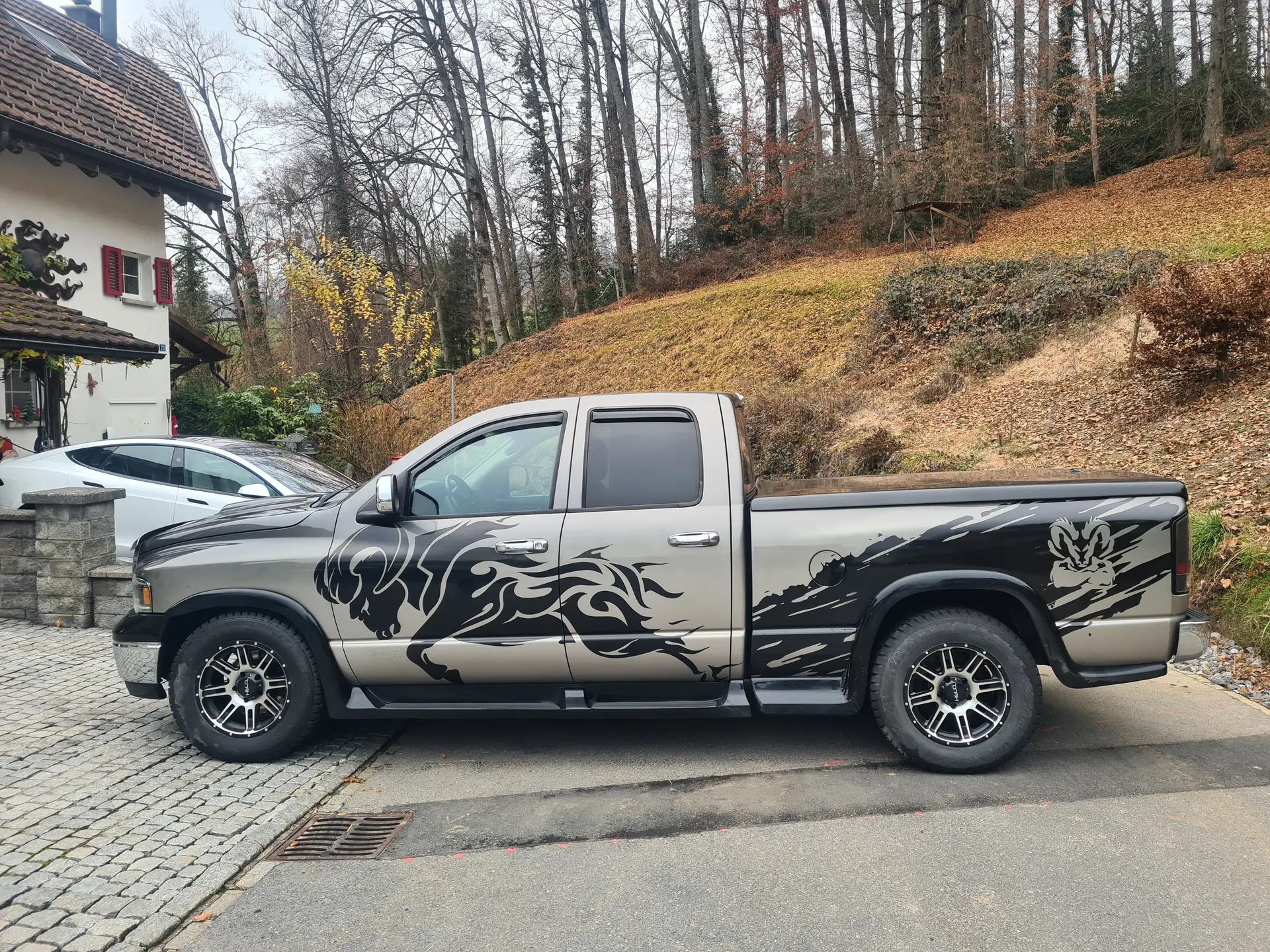 Dodge Ram 2002 occasion Kaltbrunn — 3
