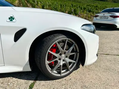 Alfa Romeo Giulia 2.9 V6 Biturbo Quadrifoglio — Berline sportive 510 ch, peu kilométrée — side view