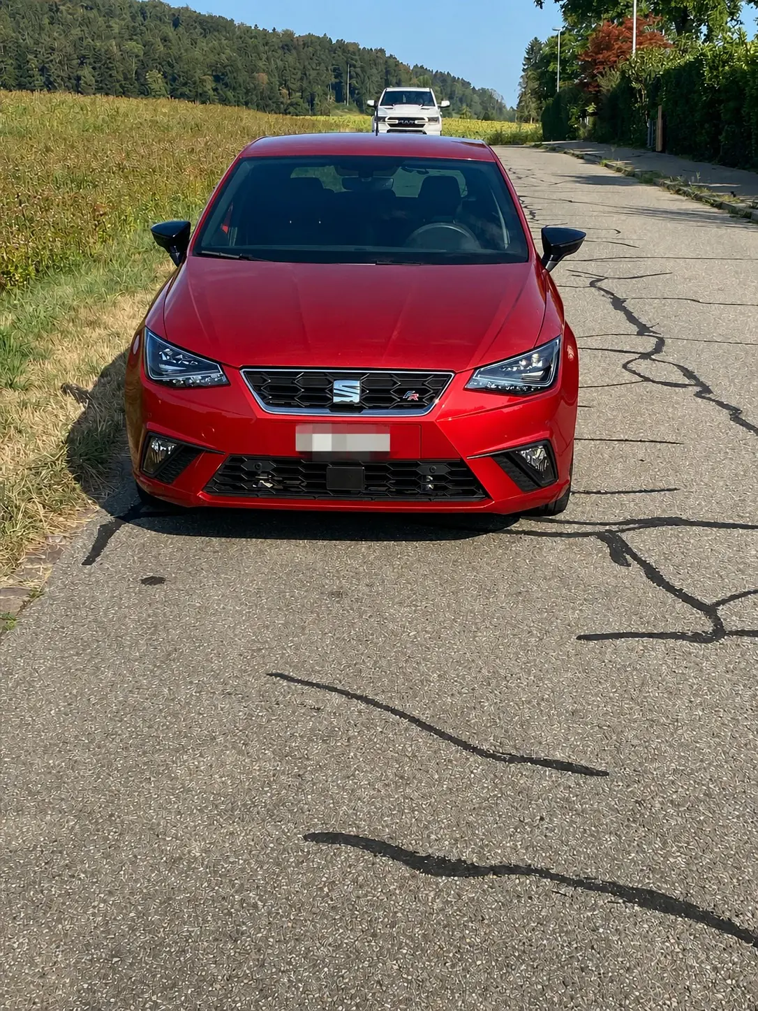 SEAT Ibiza 2020 occasion Egg bei Zürich — 1