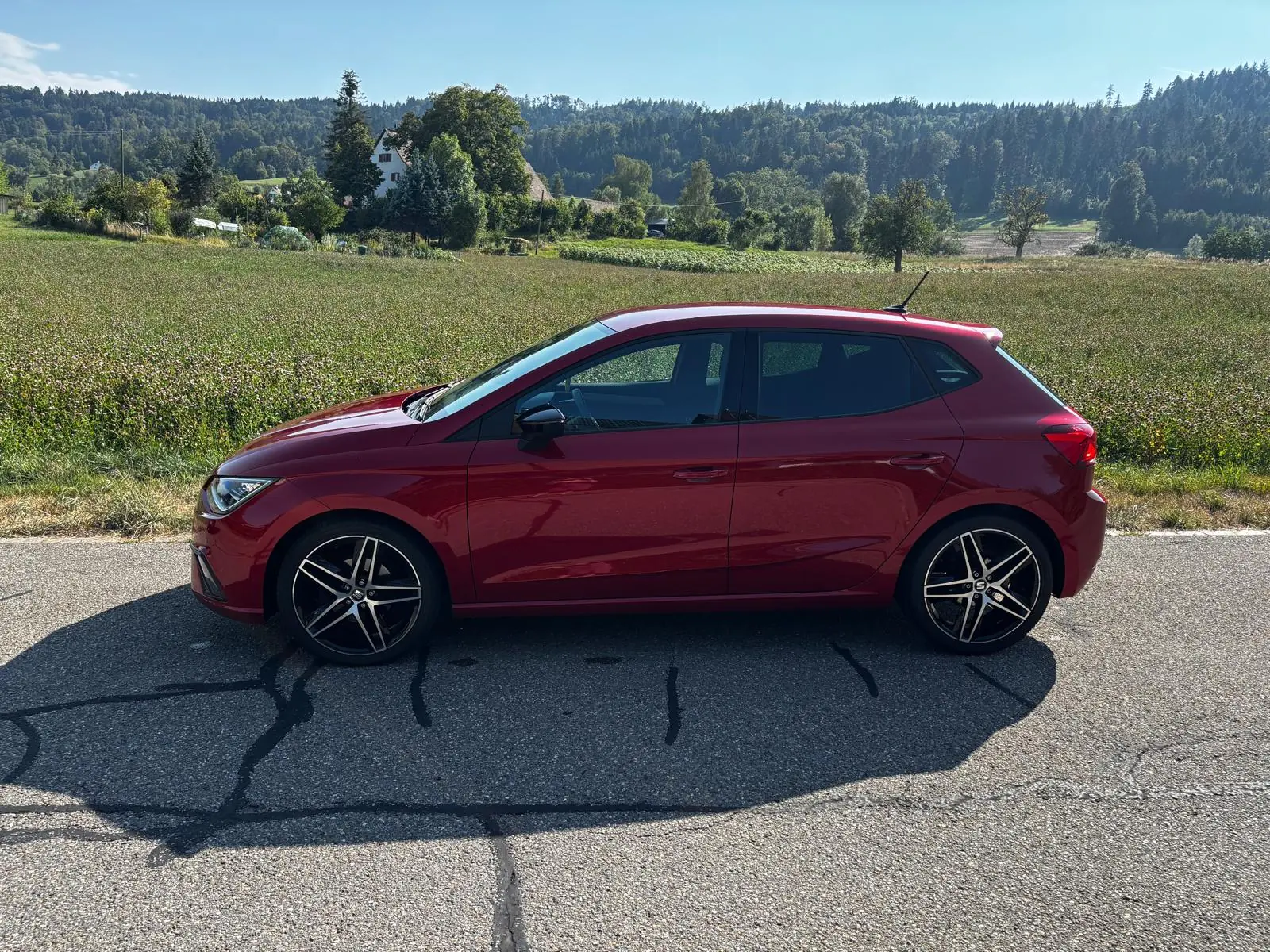 SEAT Ibiza 2020 occasion Egg bei Zürich — 3