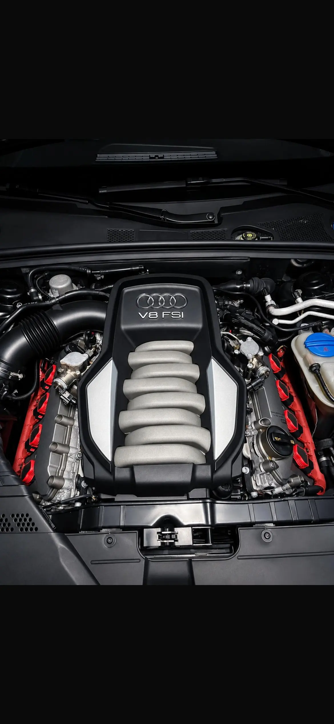 Audi S5 2009 occasion Trimbach — 5