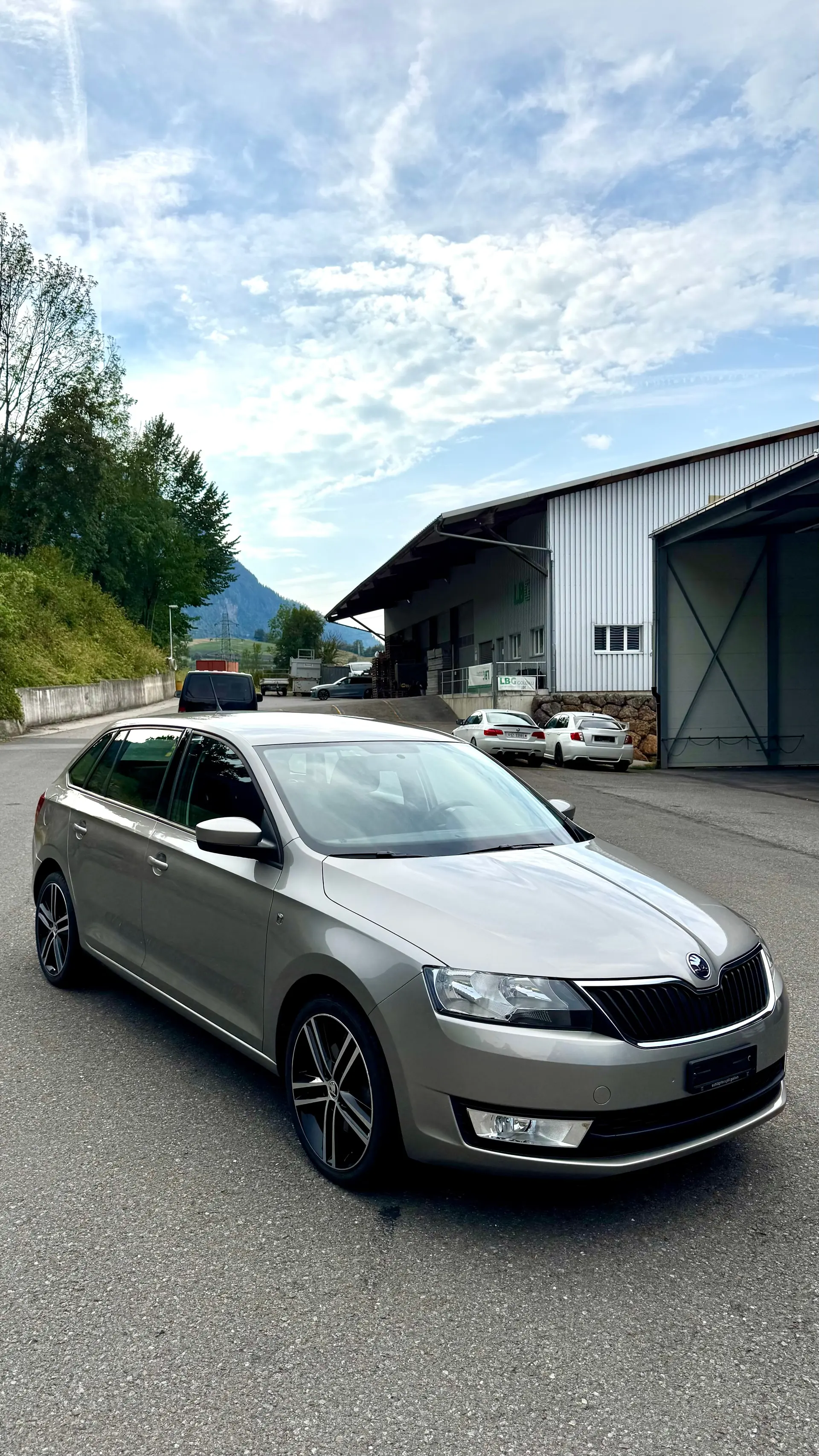 Skoda Rapid 2014 occasion Goldau — 2