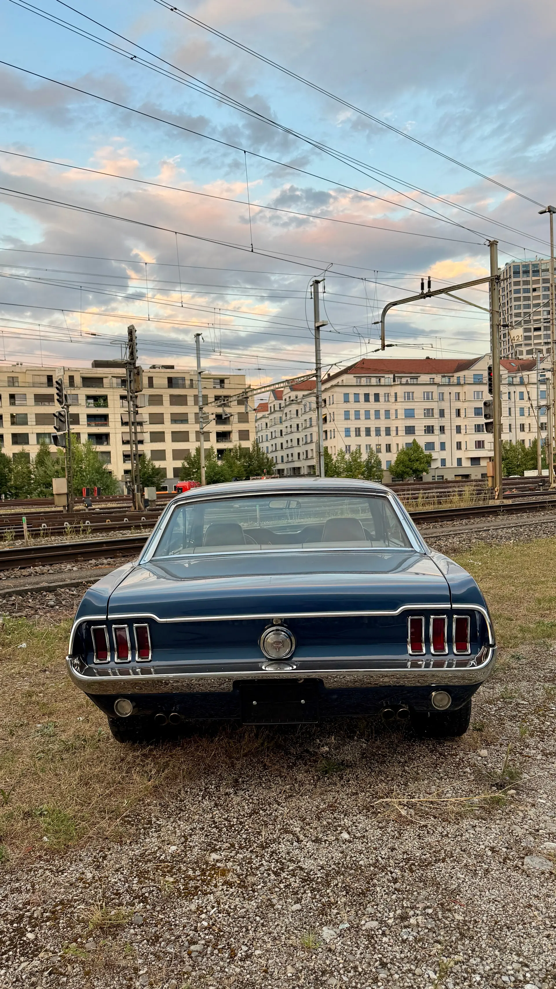 Ford Mustang 1968 occasion Dietikon — 5