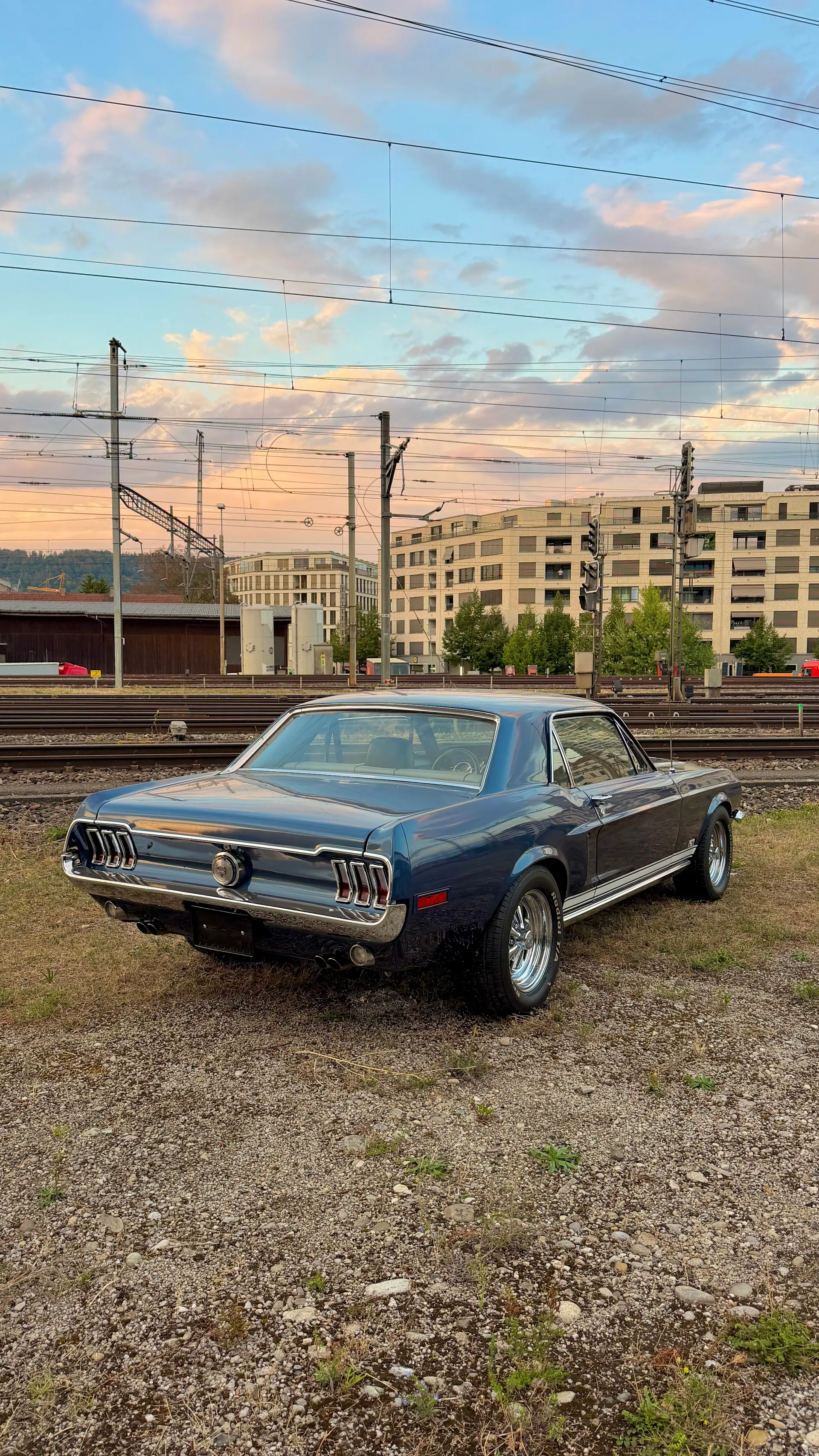 Ford Mustang 1968 occasion Dietikon — 4