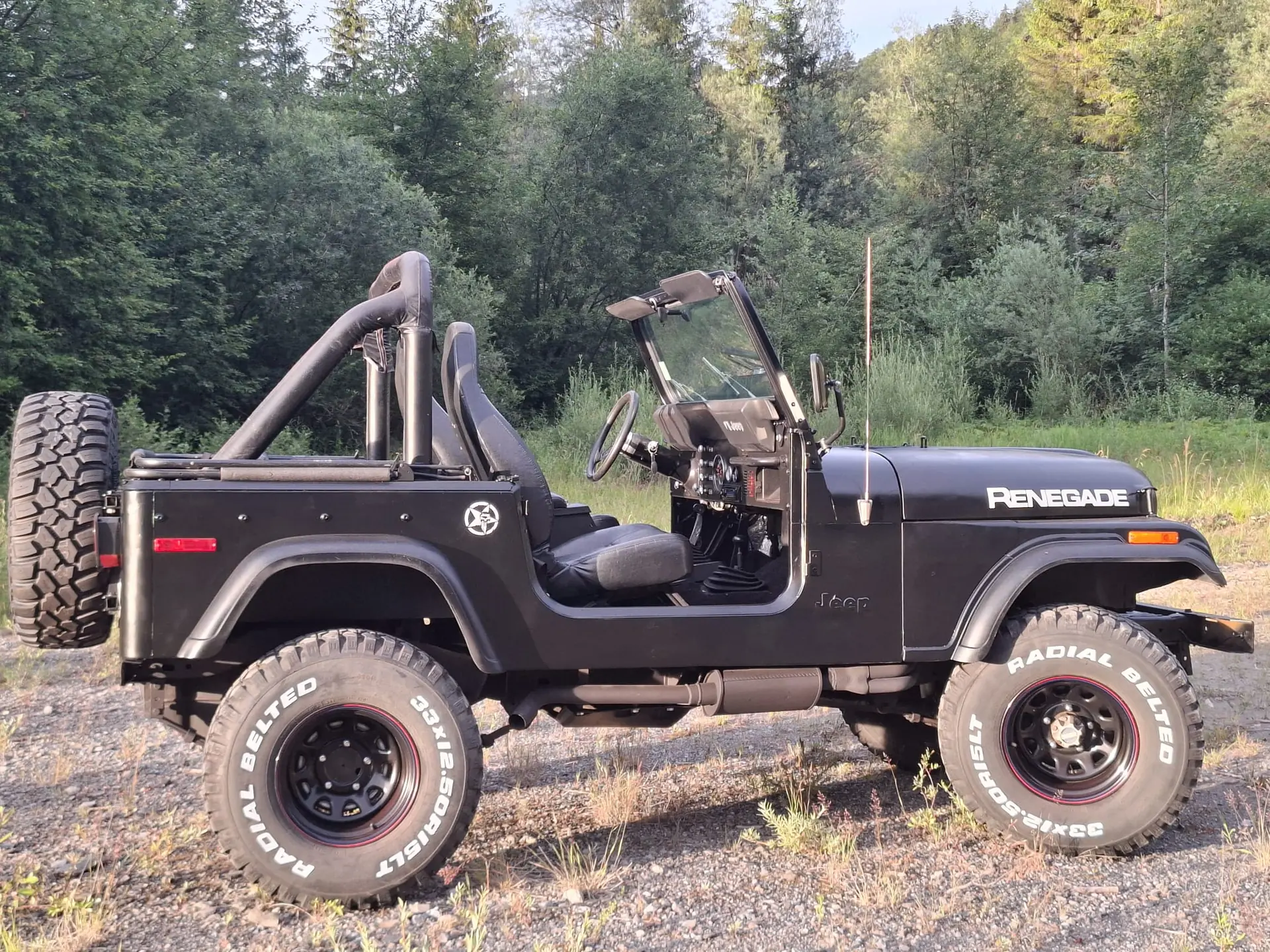 Jeep Cj 1978 occasion Euthal — 3